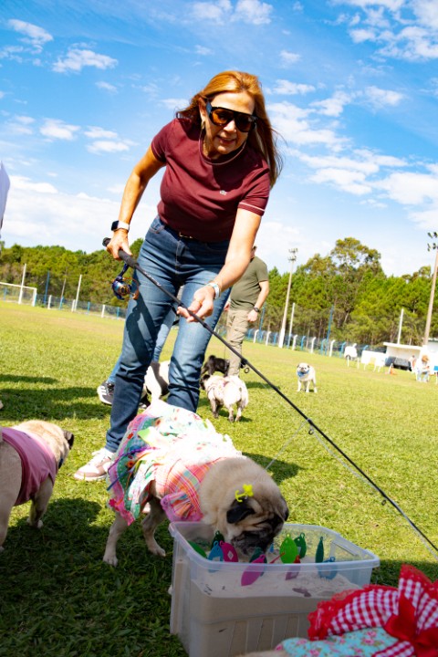 Foto do Pugnic 2026